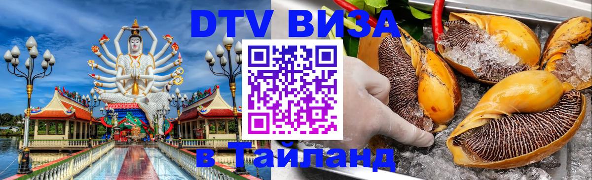 Сколько стоит DTV виза — актуальные цены, оформление даже без документов - 